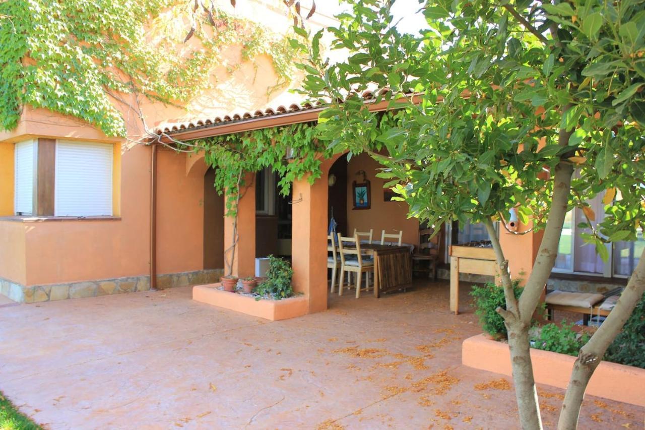 Finca Paredes Valdetorres de Jarama Exterior foto